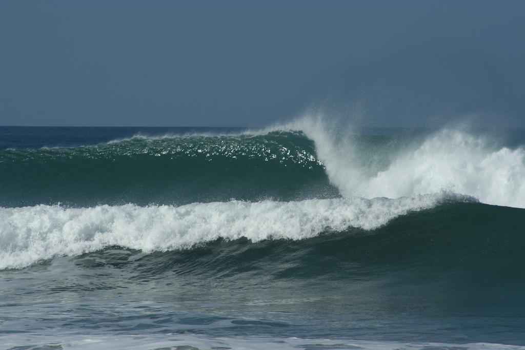 Pacifica Surf Studios Playa Santa Teresa  Buitenkant foto